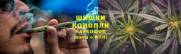 шишки Иннополис