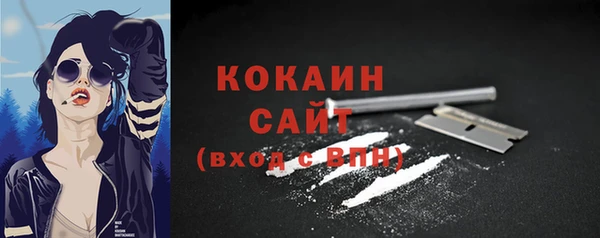шишки Иннополис