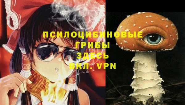 стафф Инсар