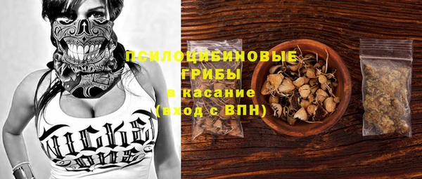 стафф Инсар