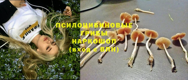 стафф Инсар