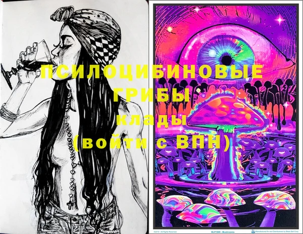 шишки Иннополис