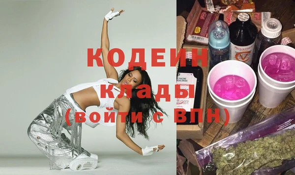 шишки Иннополис