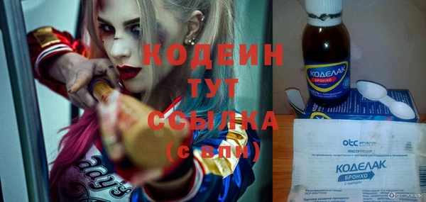 шишки Иннополис