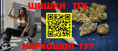 тгк Камышлов