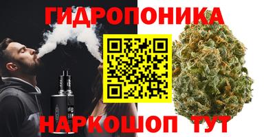 тгк Камышлов