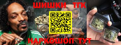 тгк Камышлов